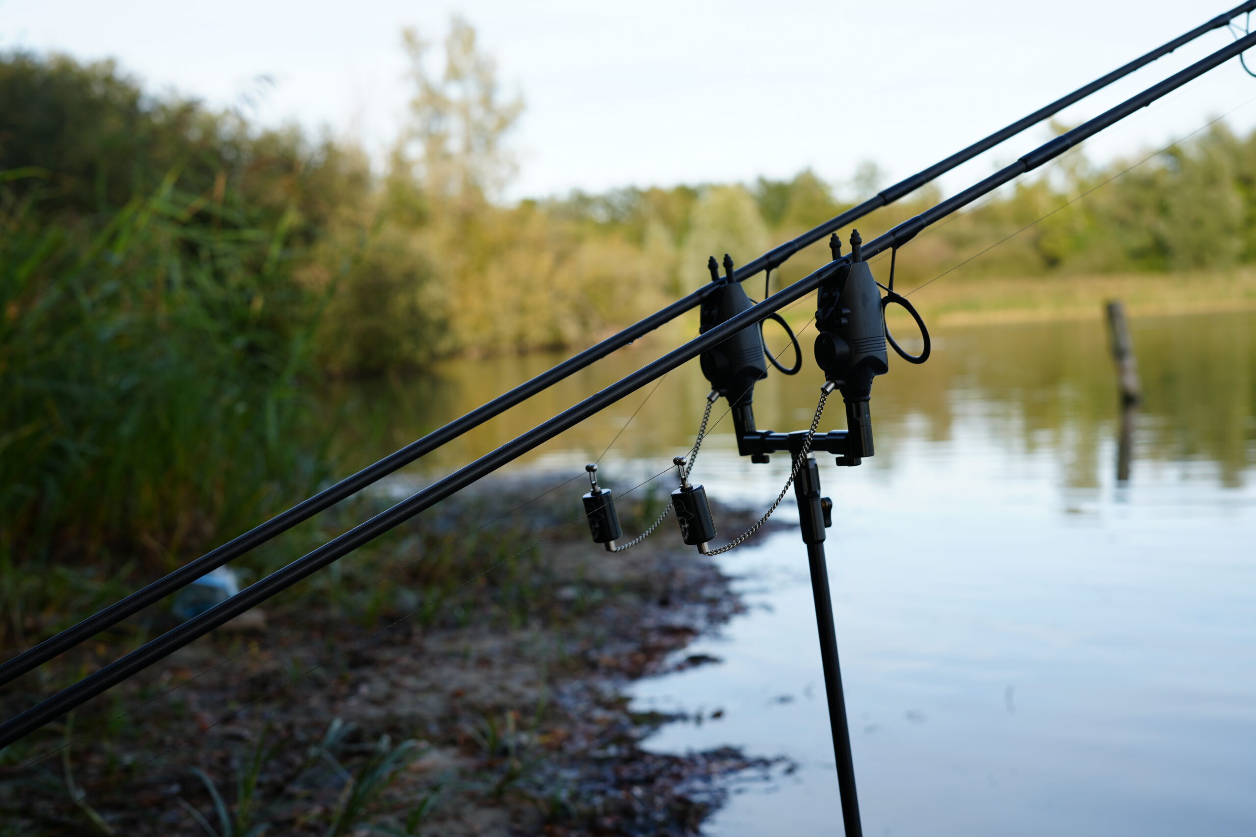 Carp angler forever bobbin